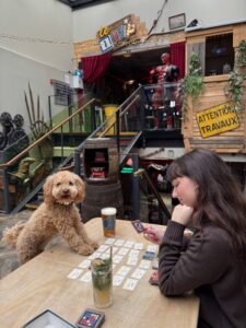 découvrez les meilleurs bars à jeux de société à lille pour une soirée conviviale entre amis, avec un large choix de jeux et une ambiance chaleureuse.