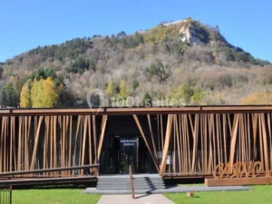 découvrez le casino de salins-les-bains, un lieu de divertissement unique alliant jeux, animations et ambiance conviviale au cœur de la région.