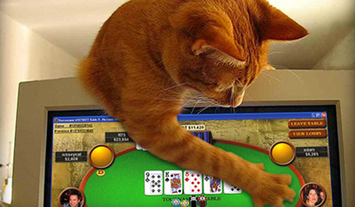 découvrez notre lexique du poker rapide pour maîtriser facilement les termes essentiels et améliorer votre jeu en un rien de temps.